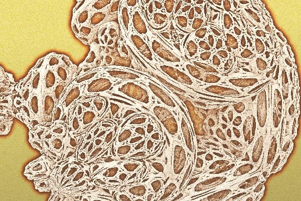 Fractal art - Hive