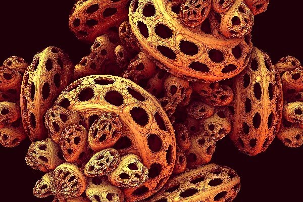 Fractal art - New Form