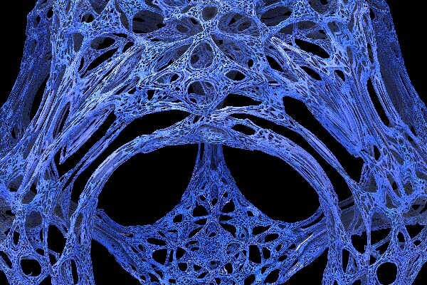 Fractal art - Skeleton